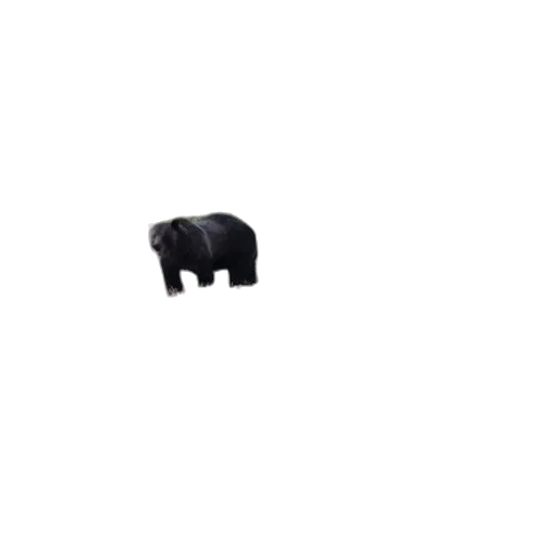 animal, furniture, creature, weapon, pixel art, 3d render, dark, three transparent PNG cut-out