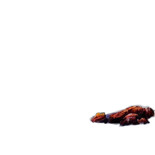 animal, dragon, creature, food transparent PNG cut-out
