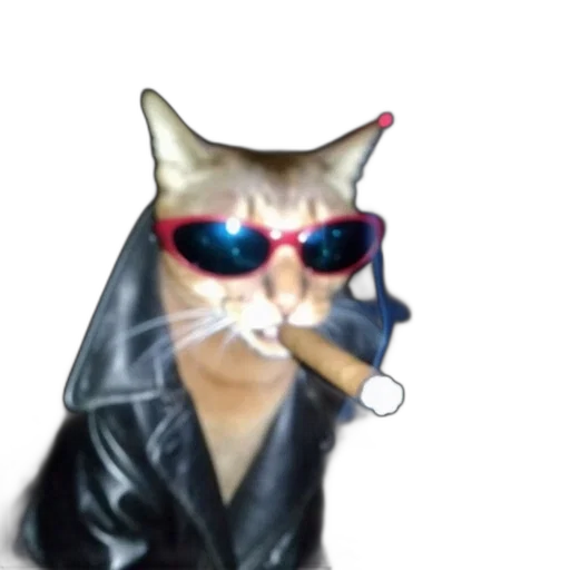 jacket, animal, mask, vaporwave, photorealistic, cartoon, cyberpunk, feline transparent PNG cut-out