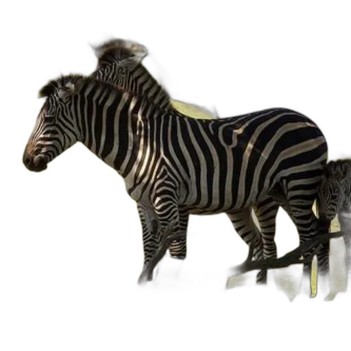 animal, creature, furniture, jewelry, 3d render, concept art, photorealistic, two transparent PNG cut-out
