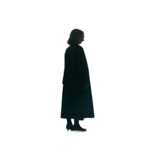 jacket, dress, umbrella, staff, concept art, fog, dark, monochrome transparent PNG cut-out