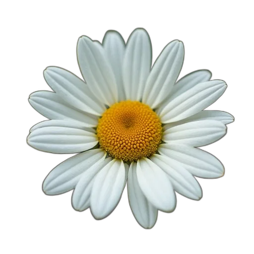 flower, jewelry, crown, staff, photorealistic, 3d render, oil painting, concept art transparent PNG cut-out