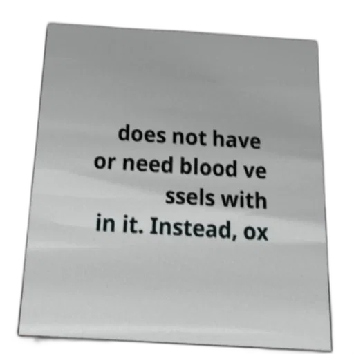 sword, staff, text-based, image, words, does, not, have transparent PNG cut-out