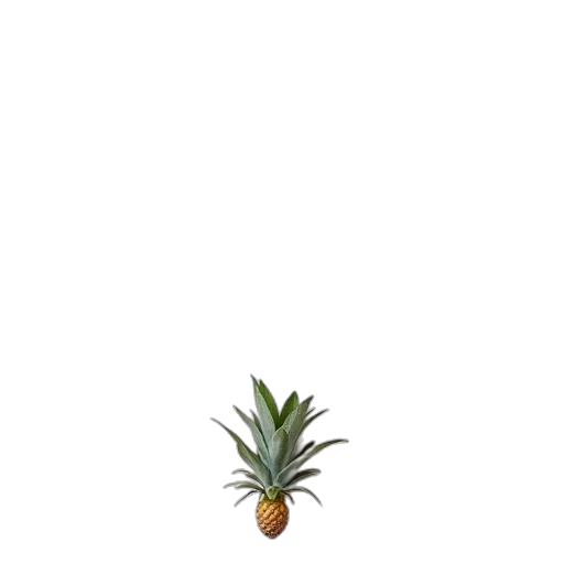 crown, food, tree, bottle transparent PNG cut-out