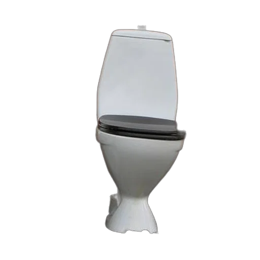 robot, staff, furniture, crown, 3d render, two, white, toilets transparent PNG cut-out