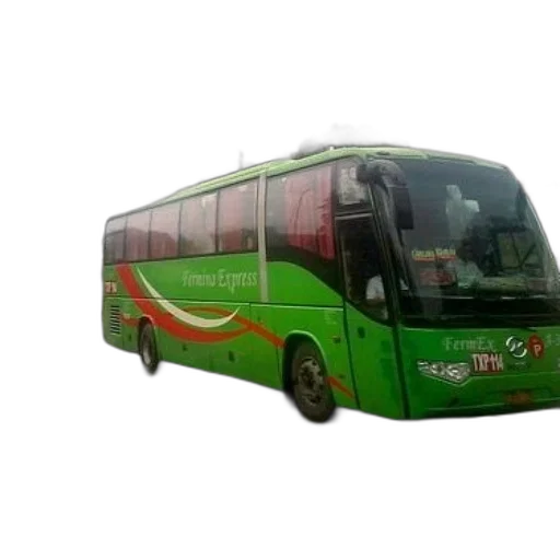 staff, 3d render, photorealistic, green, bus, word, fermina, express transparent PNG cut-out
