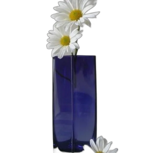 flower, bottle, jewelry, crown, photorealistic, 3d render, oil painting, blue transparent PNG cut-out