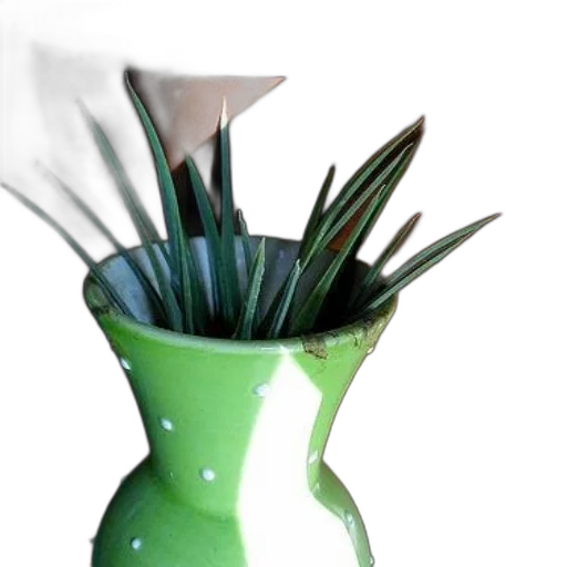 bottle, flower, staff, crown, 3d render, photorealistic, green, white transparent PNG cut-out