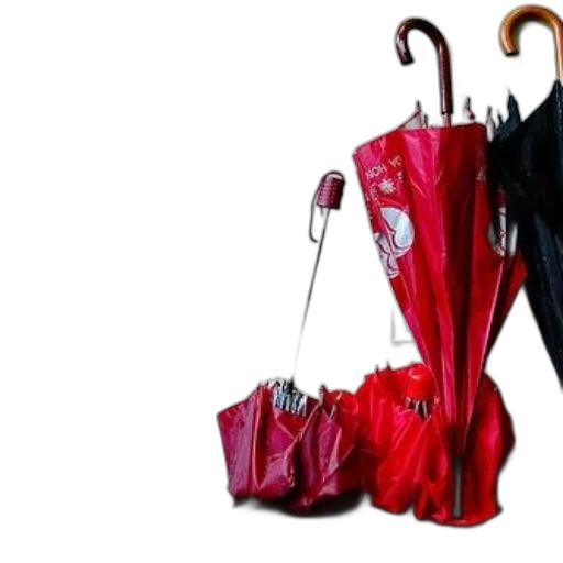 dress, umbrella, shoes, jacket, red, collection, umbrellas, including transparent PNG cut-out