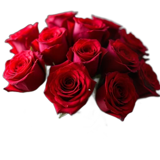 flower, crown, 3d render, photorealistic transparent PNG cut-out