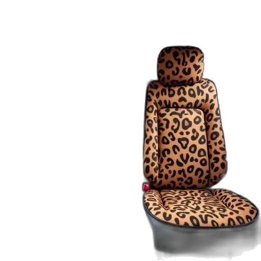 furniture, shoes, hat, jacket transparent PNG cut-out