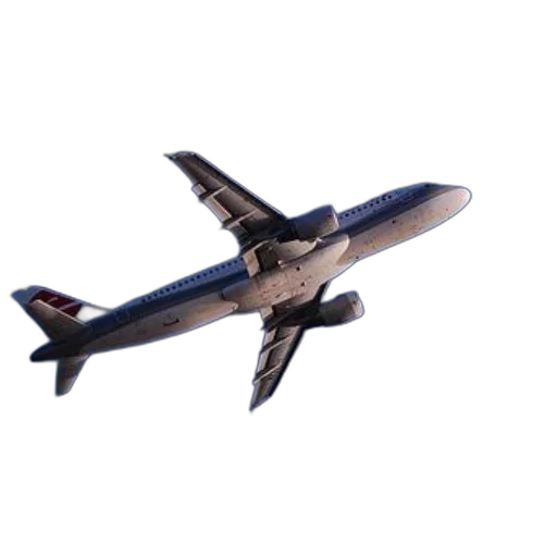 animal, 3d render, photorealistic, white, airplane, red, accents, flies transparent PNG cut-out