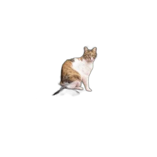 animal, creature, staff, dragon, photorealistic, 3d render, pixel art, concept art transparent PNG cut-out