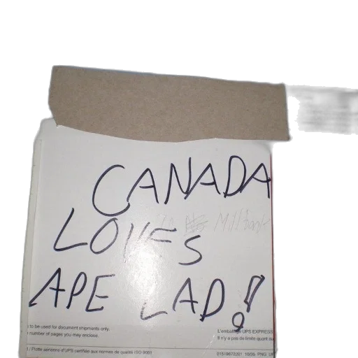 sword, hat, robot, crown, sign, says, canada, loves transparent PNG cut-out