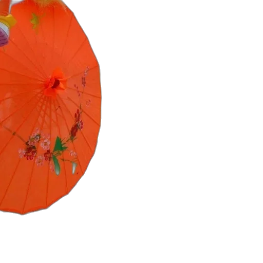 umbrella, flower, hat, crown, 3d render, photorealistic, concept art, rain transparent PNG cut-out