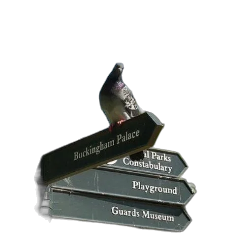 crown, weapon, staff, sword, pigeon, sits, sign, pointing transparent PNG cut-out