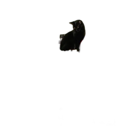 animal, shoes, hat, creature, photorealistic, pixel art, 3d render, concept art transparent PNG cut-out