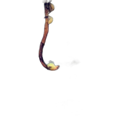 staff, weapon, hair, sword, pixel art, concept art, 3d render, fantasy art transparent PNG cut-out