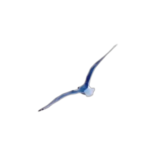 staff, weapon, sword, dragon, 3d render, concept art, pixel art, photorealistic transparent PNG cut-out