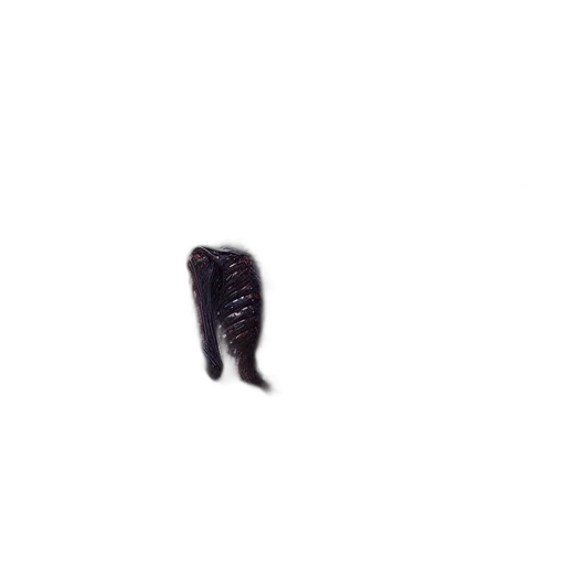 shoes, animal, hair, staff, pixel art, 3d render, photorealistic, dark transparent PNG cut-out