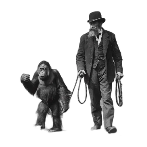 animal, staff, concept art, young, orangutan, stands, hind, legs transparent PNG cut-out