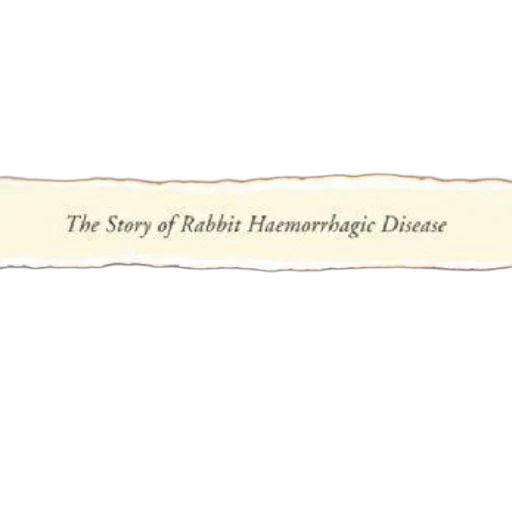 cover, australia, war, against, rabbits, story, rabbit, haemorrhagic transparent PNG cut-out
