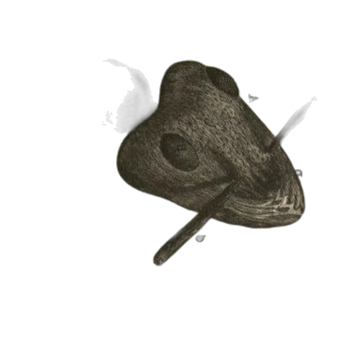 hat, mask, umbrella, staff, photorealistic, 3d render, concept art, fantasy art transparent PNG cut-out
