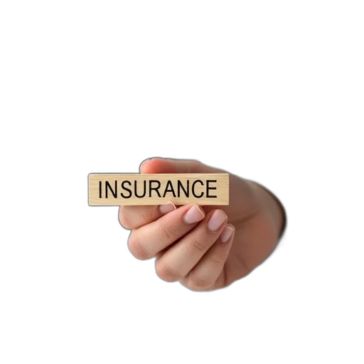 person, hand, holding, small, wooden, block, word, insurance transparent PNG cut-out