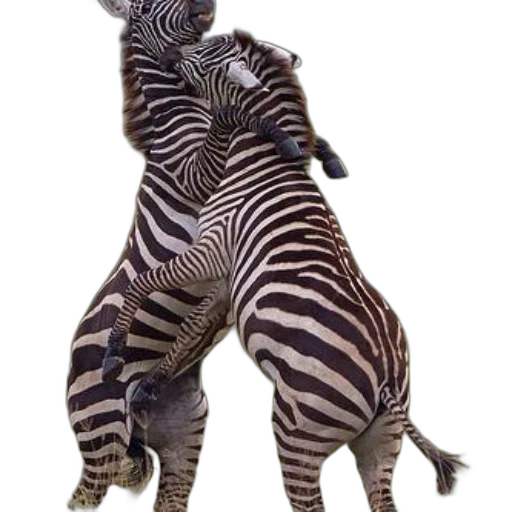 animal, creature, staff, jewelry, concept art, 3d render, photorealistic, monochrome transparent PNG cut-out