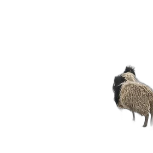 animal, hair, creature, hat, concept art, 3d render, fog, sheep transparent PNG cut-out