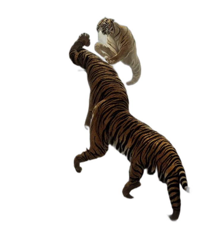 animal, creature, concept art, photorealistic transparent PNG cut-out