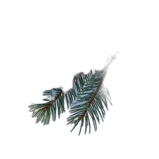 tree, crown, hair, jewelry, 3d render, photorealistic, vaporwave, concept art transparent PNG cut-out