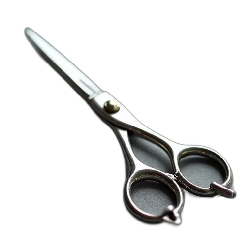 hair, staff, weapon, jewelry, pair, silver, scissors, curved transparent PNG cut-out