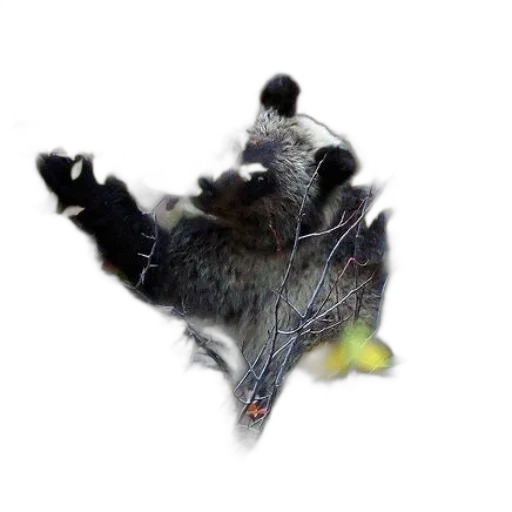 animal, dragon, creature, mask, photorealistic, 3d render, concept art, bear transparent PNG cut-out