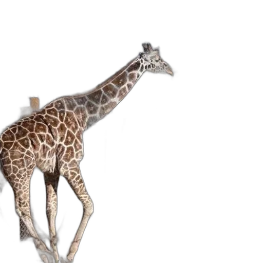 animal, creature, staff, weapon, 3d render, concept art, photorealistic, watercolor transparent PNG cut-out