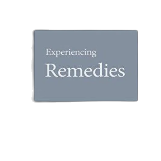 3d render, experiencing, remedies, george, kuney, part, law, series transparent PNG cut-out