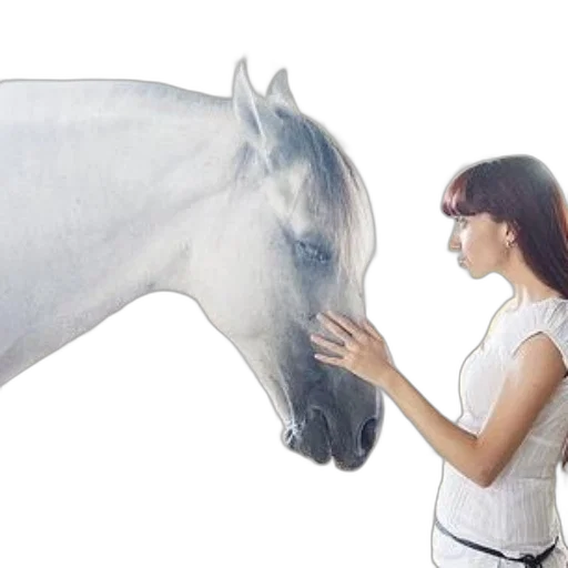 animal, photorealistic, woman, white, dress, gently, strokes, nose transparent PNG cut-out