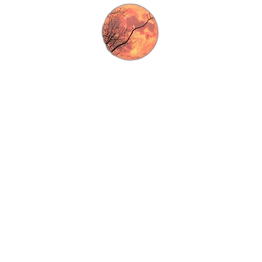 staff, face, dragon, creature transparent PNG cut-out