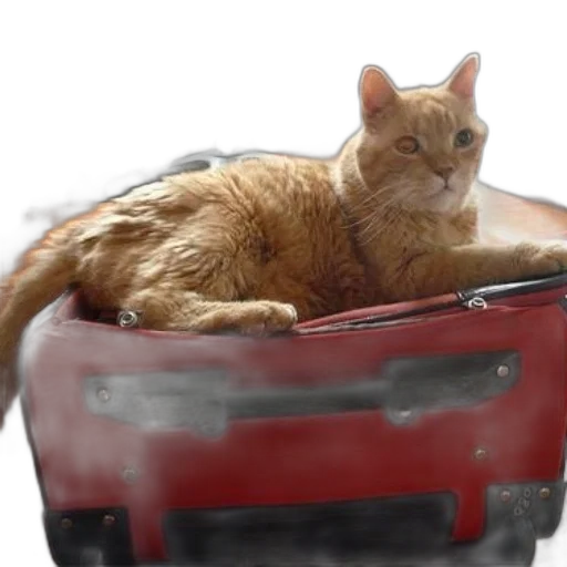 animal, car, furniture, robot, photorealistic, ginger, cat, lounges transparent PNG cut-out
