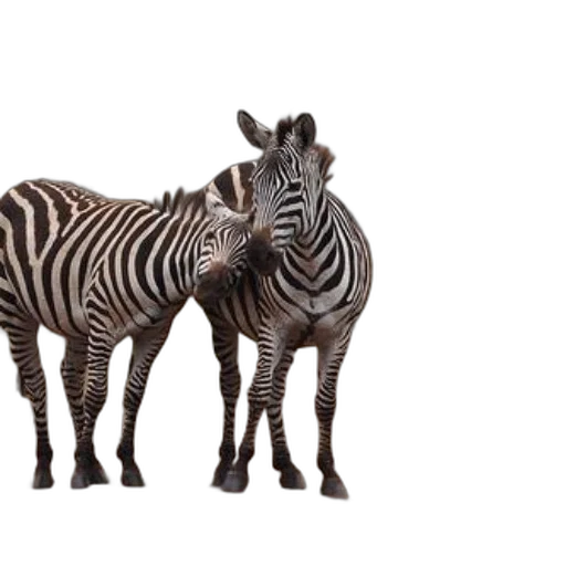 animal, creature, furniture, jewelry, 3d render, photorealistic, concept art, monochrome transparent PNG cut-out
