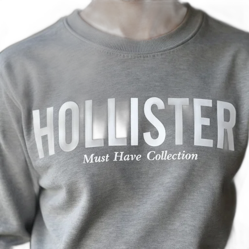 close-up, grey, sweatshirt, white, logo, reads, hollister, bold transparent PNG cut-out