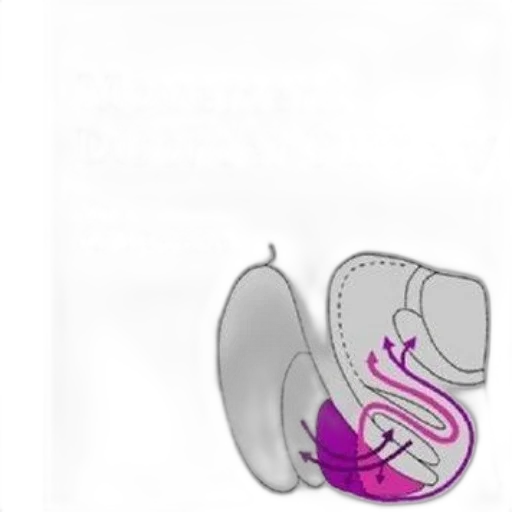 jewelry, crown, shoes, furniture, concept art, 3d render, photorealistic, cover transparent PNG cut-out