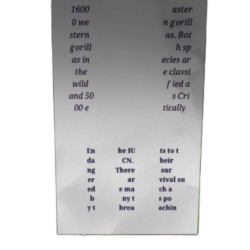 jewelry, sword, furniture, image, contains, text, discussing, conservation transparent PNG cut-out