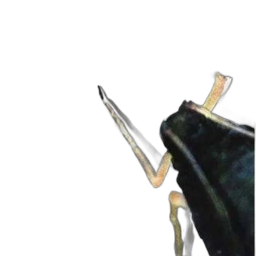 weapon, staff, umbrella, animal, concept art, 3d render, photorealistic, watercolor transparent PNG cut-out