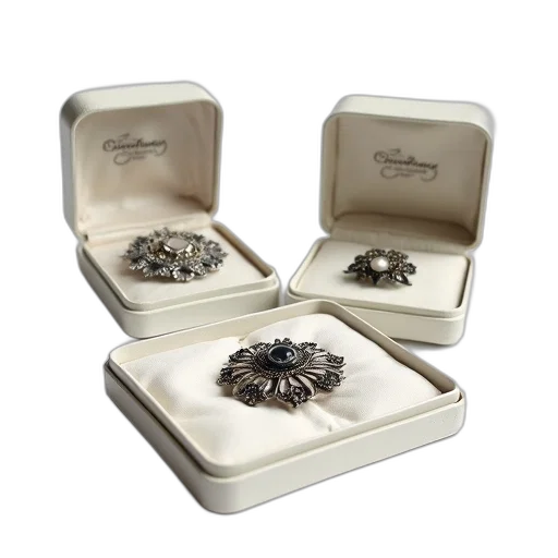 jewelry, crown, collection, silver, brooches, displayed, open, white transparent PNG cut-out
