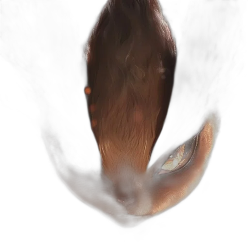 animal, dragon, creature, face, photorealistic, concept art, 3d render, fantasy art transparent PNG cut-out