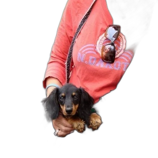 jacket, staff, animal, jewelry transparent PNG cut-out