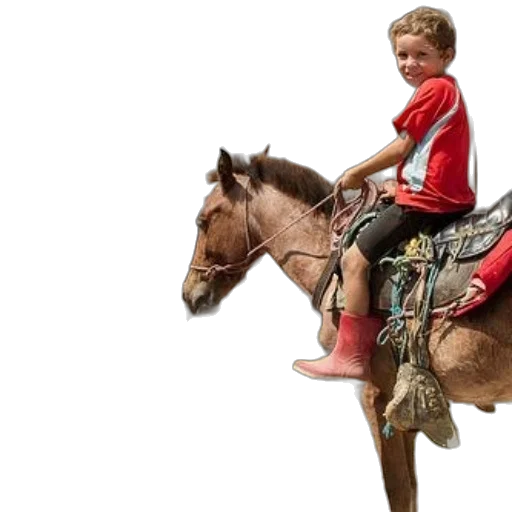 photorealistic, man, hat, stands, next, boy, horse, dog transparent PNG cut-out