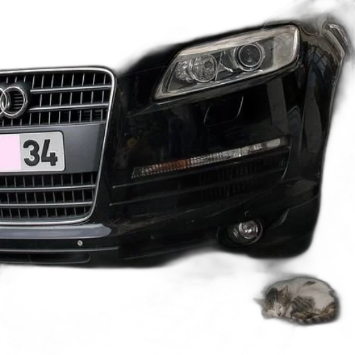 car, animal, weapon, shoes, photorealistic, 3d render, black, audi transparent PNG cut-out