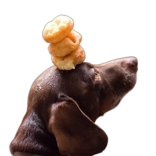 food, hat, crown, staff, photorealistic, 3d render, chocolate, lab transparent PNG cut-out